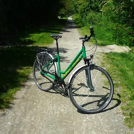 Szálloda Albergo Losone Losone