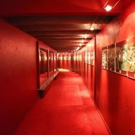 Hotell Albergo Losone 4*